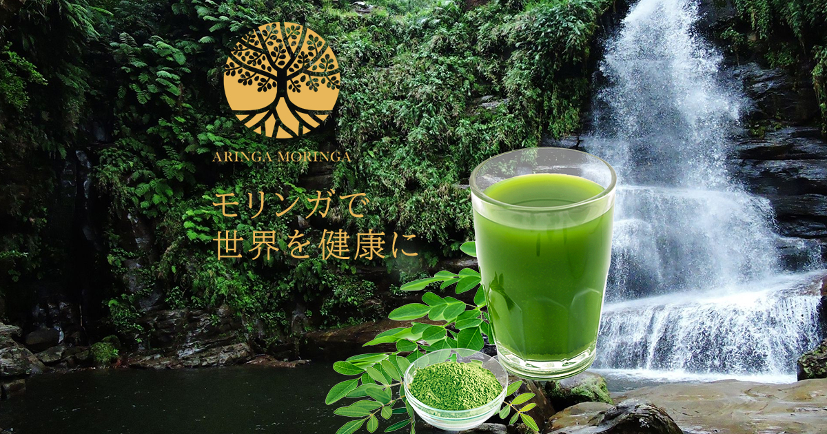 予約用 モリンガ苗とおまけの種 9/27予約締め切り 10月の第